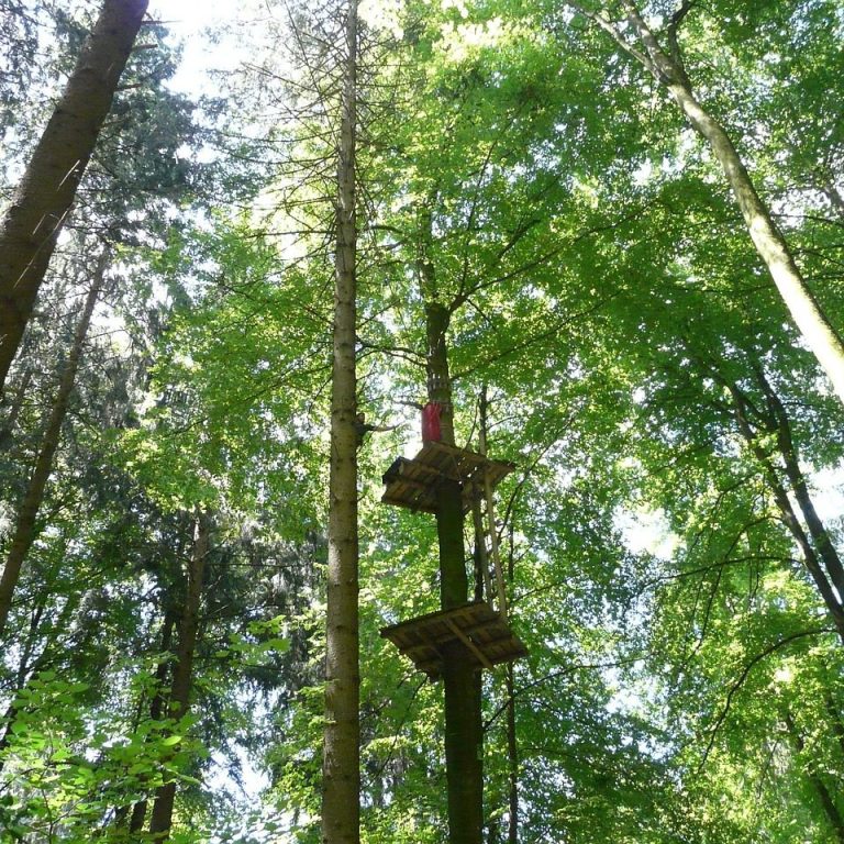 Kletterwald in Hinsbeck. Der Kletterwald in den Hinsbecker Höhen liegt direkt vor der Türe.